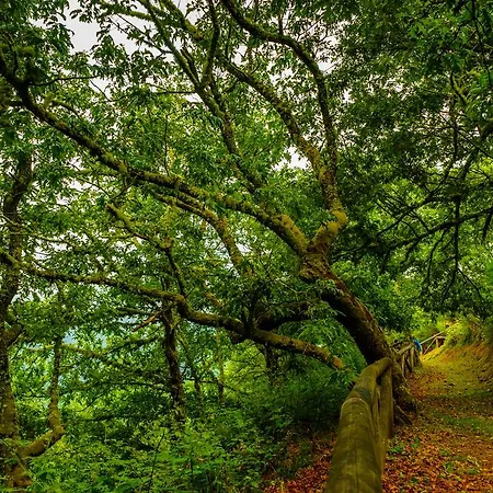 Εξοχικό σπίτι Casa Maria Cecilia Vega de Rengos