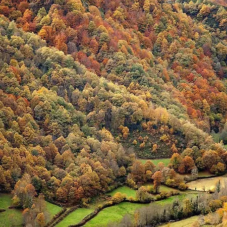 Casa Maria Cecilia Vega de Rengos