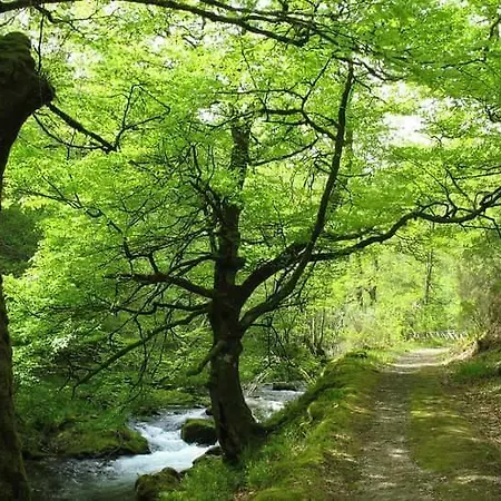 Casa Maria Cecilia Vega de Rengos