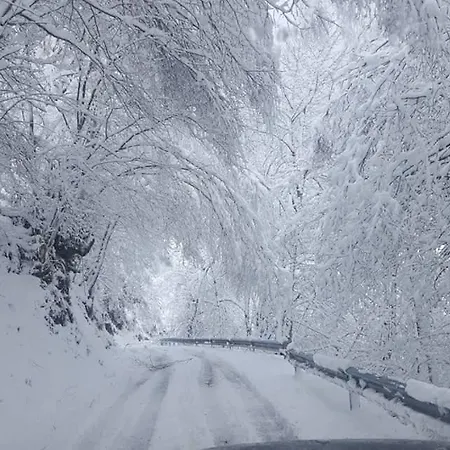 Casa Maria Cecilia * Vega de Rengos